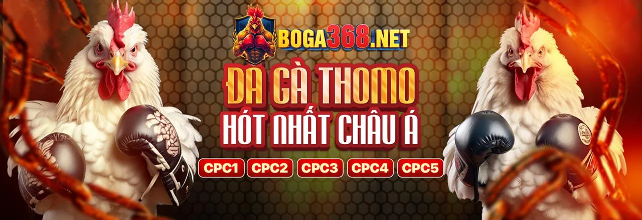 Sân vận động đầy ắp khán giả và hình ảnh cá cược thể thao sôi động tại vvvwin88 link mới