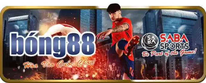 Hướng dẫn và mẹo cá cược thể thao